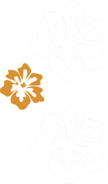 Three stylized hibiscus flowers, two white and one light brown, on a black background.