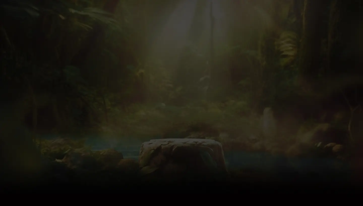 Misty forest scene with dense greenery and a stone surrounded by rocks near a small body of water.