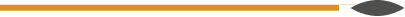 Horizontal black arrow pointing right inside a thin orange rectangular bar.